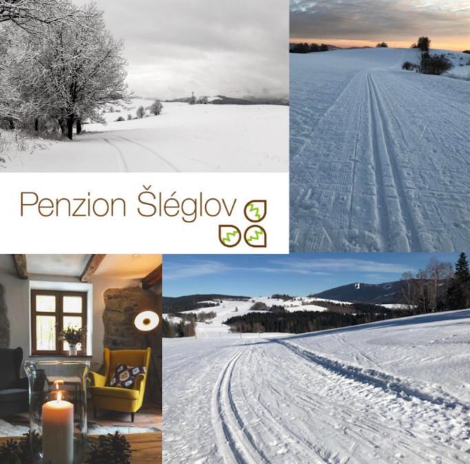 Penzion Sleglov Eksteriør billede